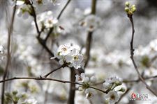 2026年春分是几月几日