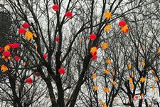 正月初五接财神不能做什么，必知禁忌注意事项