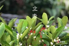 2016年立春时间：2016年立春是哪一天 几月几日几点