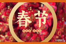 春节的简介