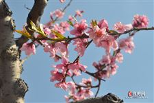 立春之后下一个节气是什么