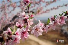 2021年雨水节气养生短信精选