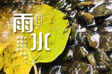 雨水前面是哪个节气 雨水上一个是什么节气