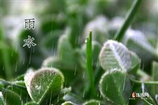 雨水过后是什么节气 雨水后面是什么节气