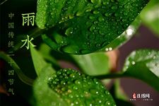 雨水节气谚语大全 雨水节气谚语大全