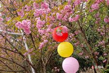 在农村给逝者上坟都有什么讲究的？