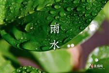 雨水农事歌，雨水具体农事