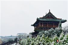 日历中的二九是什么意思
