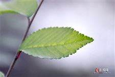 立春为什么不能在床上躺着 为什么立春前后不能出门