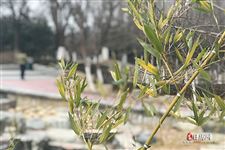 元宵节是法定假日吗 元宵节是法定假日吗