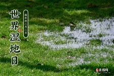 世界湿地日（每年2月2日）