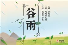 谷雨有三候:萍始生,呜鸠拂其羽,戴任降于桑 谷雨有三候:萍始生,呜鸠拂其羽,戴任降于桑