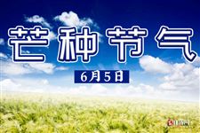 关于芒种节气的图片