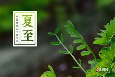 夏至日狗肉节，夏至吃狗肉的那些事儿