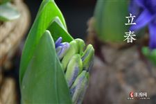 立春和除夕同一天多少年一遇