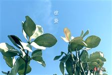 春捂怎么捂