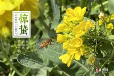 惊蛰里的蛰是什么意思