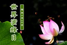 世界蜜蜂日（每年5月20日）