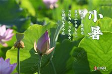 小暑前后钓鱼技巧及垂钓要领 小暑前后钓鱼技巧及垂钓要领