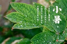 小暑时节天气虽然炎热,但最热的时候还未开始! 小暑时节天气虽然炎热,但最热的时候还未开始!