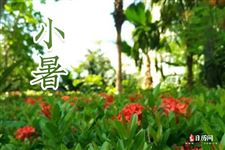 小暑和入伏是一回事吗 小暑和入伏是一回事吗
