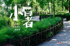 小暑和入伏有什么区别 小暑和入伏有什么区别