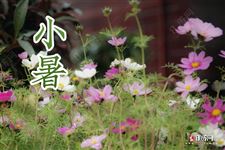 小暑热不热 小暑热不热