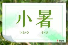小暑时节必吃水中三宝 小暑时节必吃水中三宝
