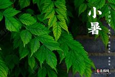 小暑过,一日热三分 小暑过,一日热三分