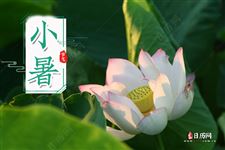 小暑之后可以下海了吗