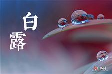 白露三候:一候鸿雁来,二候玄鸟归,三候群鸟养羞 白露三候:一候鸿雁来,二候玄鸟归,三候群鸟养羞