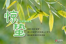 春雷响,万物生,关于惊蛰节气的谚语 春雷响,万物生,关于惊蛰节气的谚语