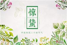 惊蛰养生吃安宫牛黄丸,为什么呢? 惊蛰养生吃安宫牛黄丸,为什么呢?