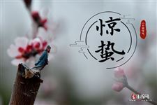 惊蛰节气有什么讲究?有什么忌讳? 惊蛰节气有什么讲究?有什么忌讳?