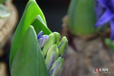 2021年5月4日是第几个青年节