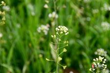 五四青年节对于年龄的界定