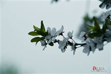 五四青年节年龄是多少