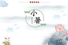 2020小暑节气出生的鼠怎么样 2020小暑节气出生的鼠怎么样