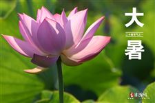 二十四节气之大暑时节的由来及习俗