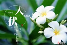 2021年初伏：7月11日-7月20日