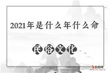 2021年是什么年什么命