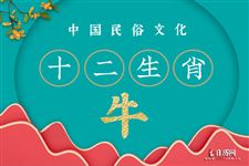 2021年属什么生肖年