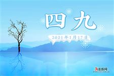 2021年四九是哪一天
