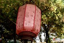 元旦吃什么