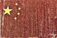 2021元旦祝福的话语,句句暖人心 2021元旦祝福的话语,句句暖人心