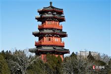 元旦春节期间 元旦春节期间