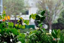 元旦的诗句古诗大全,关于元旦的诗句古诗 元旦的诗句古诗大全,关于元旦的诗句古诗