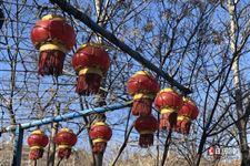 2021年元旦假期安排 2021年元旦假期安排