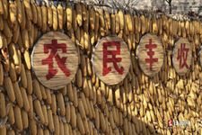 古代的元旦是哪天 古代的元旦是哪天