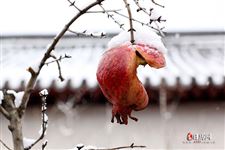 2021小寒大寒是什么时候 2021小寒大寒是什么时候